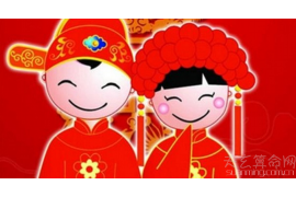 风水轮盆景的布置技巧与方法，让你的家居生机勃勃