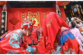 阳台西面的花卉养护技巧，打造良好风水环境