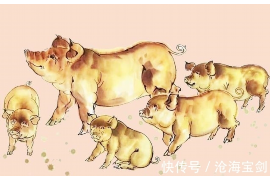 丽苑小区：现代简约风格，符合传统风水学说的理想居住地