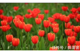 高层风水优越，六楼楼顶房子选择需谨慎考量