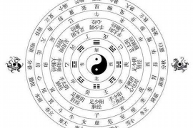 墙壁装饰的风水指南：如何创造和谐宜居的居住环境
