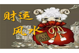 ：学习风水讲师技能的视频课程指南