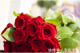 风水师如何评价易先生的风水布局与命理学？