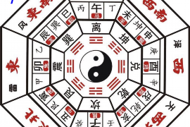 阳台养乌龟的风水禁忌和注意事项是什么？