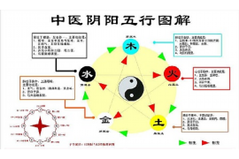 如何利用风水在家中种植月季花？