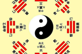阳台种植：打造良好风水，让菜园更兴旺