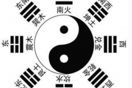 如何利用家居布置来改善猪年的财位风水？