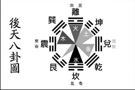 如何养护风水锦鲤：细心呵护带来好运和幸福