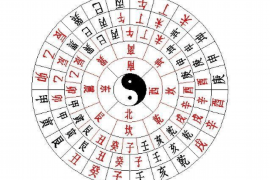 风水学指南：如何选择适合自己的楼栋，打造理想居住环境