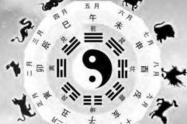 双拼别墅的共堂屋风水布局如何影响家庭运势？