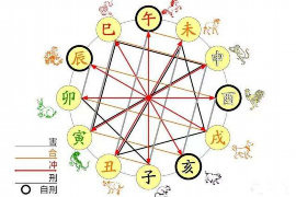 办公室风水之道：打造和谐工作环境的秘诀分享