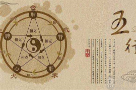新泰花园：风水智慧与现代生活的和谐融合