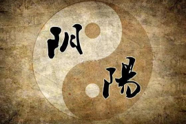 阳台花盆的摆放技巧，助您打造良好风水环境