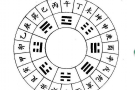 狮子和孔雀的风水相处之道