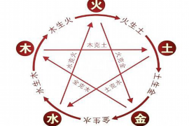 ：探寻嘉骏花园风水之谜，揭秘视频中的奥秘