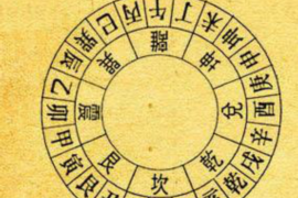 养猫如何化解风水，增添生活欢乐并珍惜美好时刻