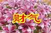 低矮楼层的装修风水之道，让家庭生活更加和谐平衡